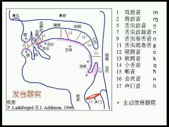 正确发声训练方法（普通话练声方法）