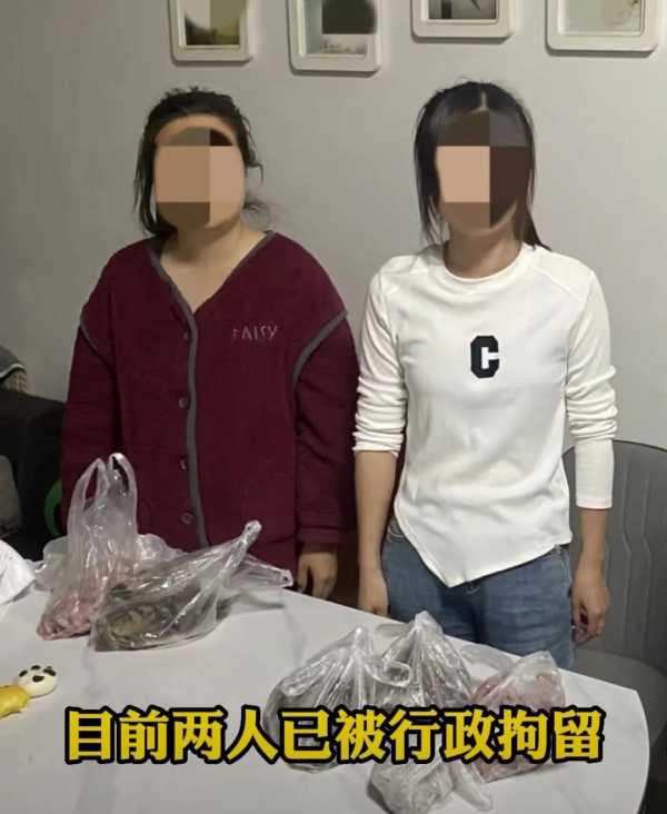 自助餐拿东西出去犯法吗?两女子为吃自助餐回本被行拘