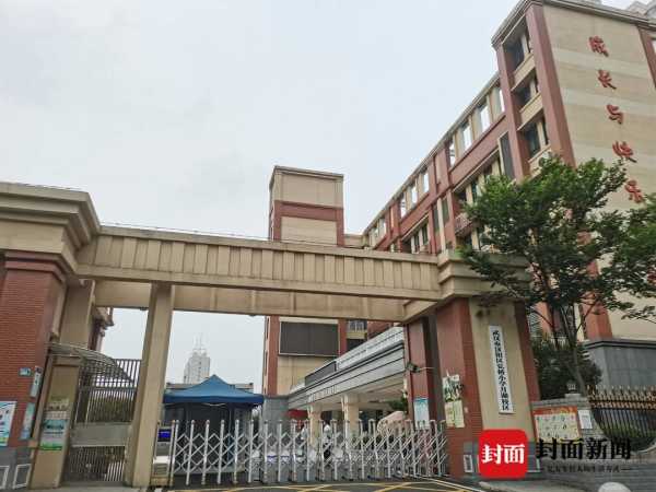 小学生在校内被老师开车撞倒身亡