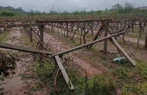 多地将有8-10级雷暴大风或冰雹!今年冰雹最严重的地方