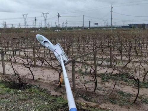 多地将有8-10级雷暴大风或冰雹!今年冰雹最严重的地方