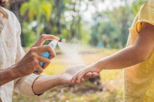 蚊子最怕什么味道?如何驱蚊子最有效的方法