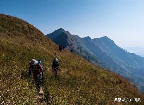 重阳登高是指爬山吗?登高和爬山的区别