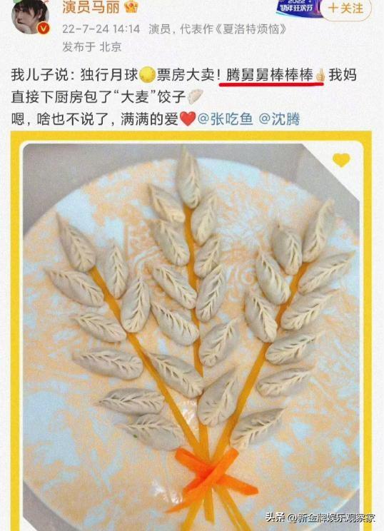 沈腾和马丽是什么关系?马丽的孩子确实叫沈腾舅舅