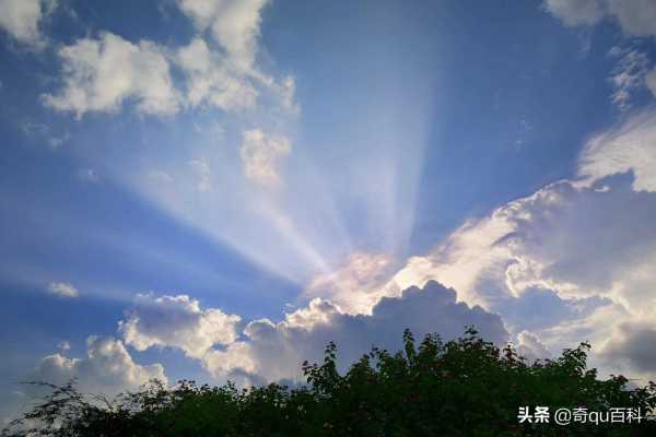 为什么会下太阳雨?太阳雨的寓意和象征