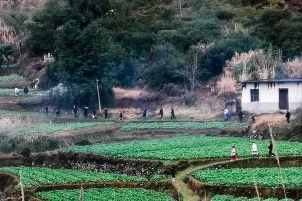 不扫三代坟是什么意思?墓地风水最佳坐向