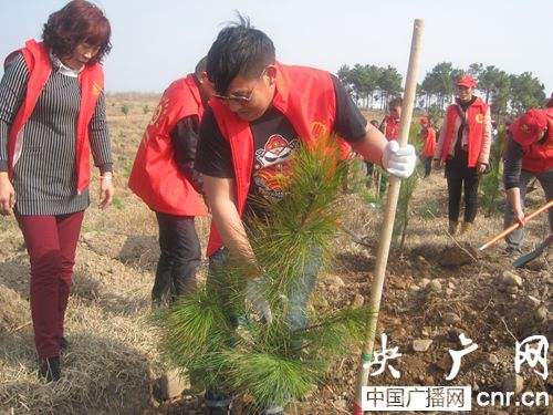 植树节写一段话（植树节的由来30字）