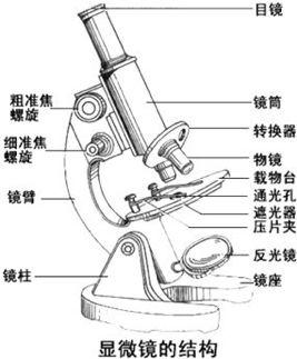 什么是生物?生物具有哪些共同的特征