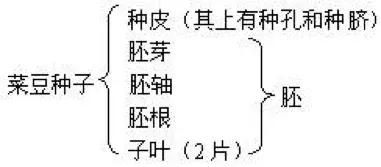 什么是生物?生物具有哪些共同的特征