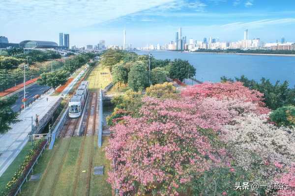 花城是指我国哪一城市?花城的真名叫什么