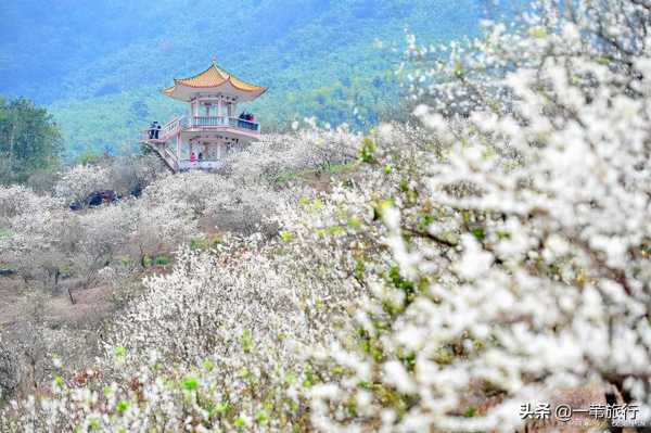 花城是指我国哪一城市?花城的真名叫什么