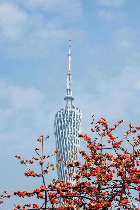 花城是指我国哪一城市?花城的真名叫什么