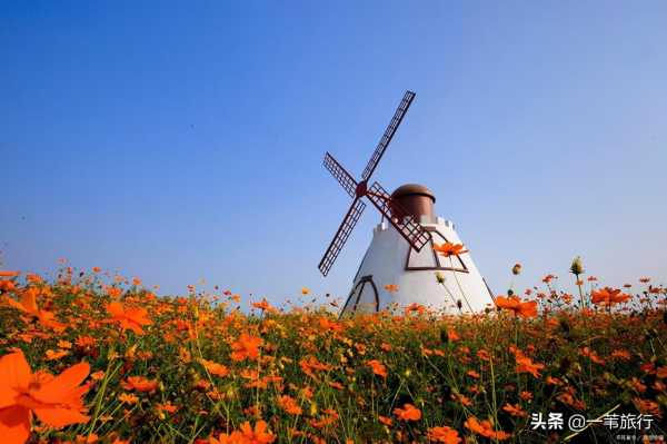 花城是指我国哪一城市?花城的真名叫什么