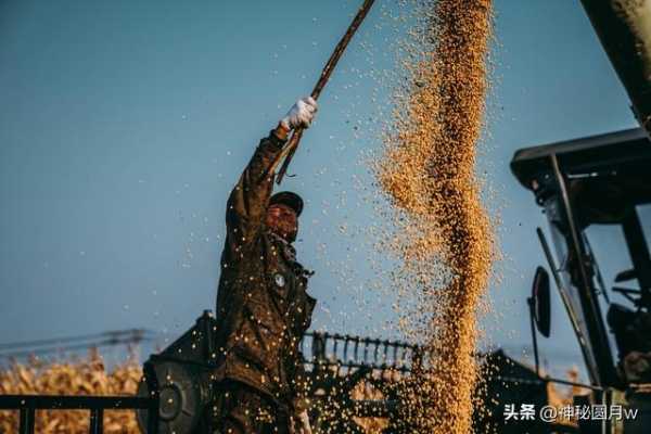 全球粮荒要来了?2023粮食危机最新消息