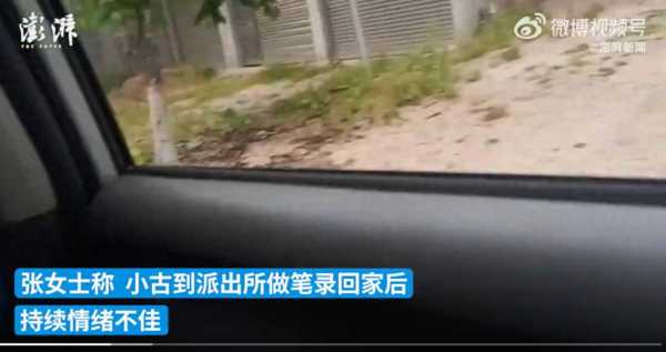 少年目睹爷爷被打跳河身亡 其母发声