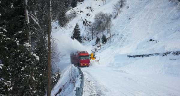 遭遇雪崩该如何逃生?遇到雪崩存活几率