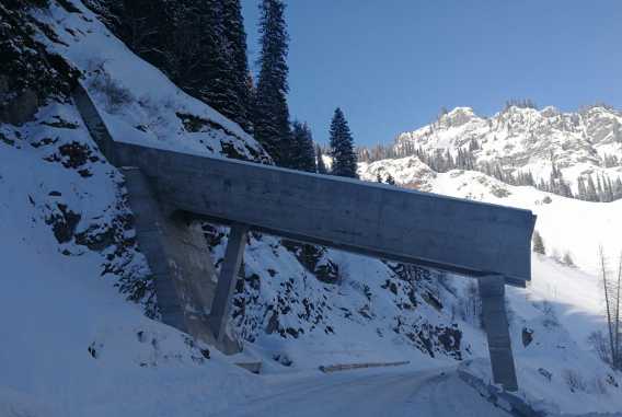 遭遇雪崩该如何逃生?遇到雪崩存活几率