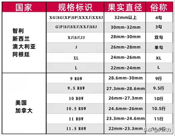 车厘子字母代表什么意思?车厘子大小等级