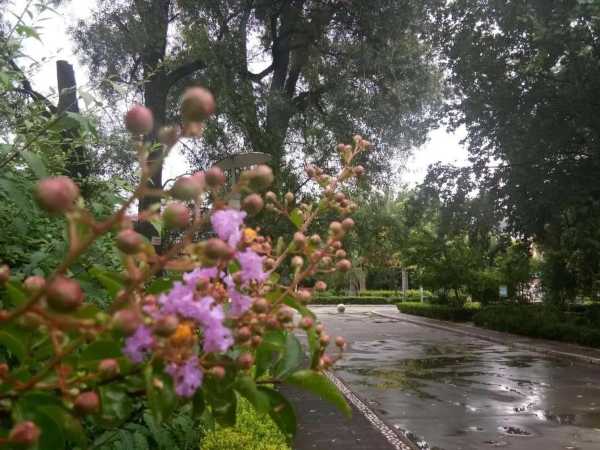 五彩绳什么时候扔?下雨时扔还是雨后扔