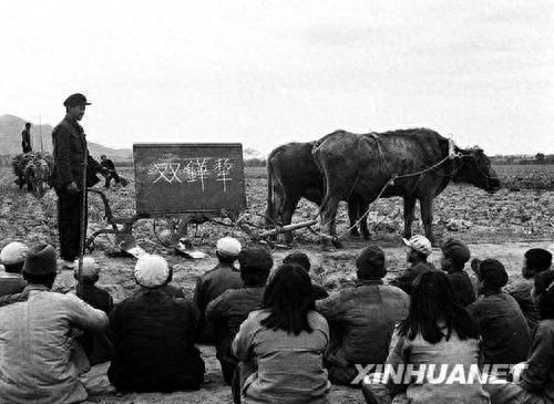 为什么要设立国际扫盲日?国际扫盲日设立意义