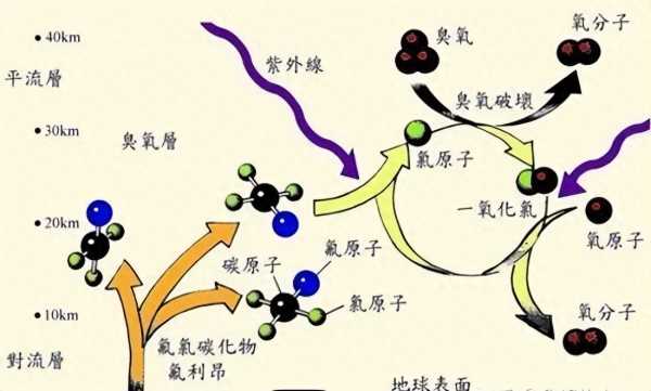 国际臭氧层保护日是几月几日?是哪一天