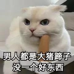 为什么男人都是大猪蹄子什么意思