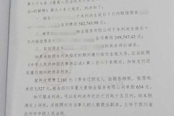 男孩扔木块砸死老人被判赔58万