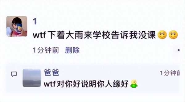 wtf是什么意思（wtf算骂人吗）