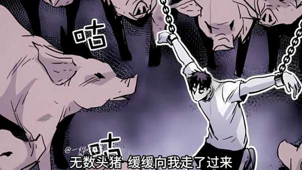 猪窝讲的什么故事（猪窝漫画解说）