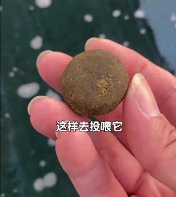 专升本难度大吗?张雪峰说专升本没必要