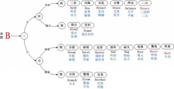 bra是啥意思呀（brat字母圈属性）