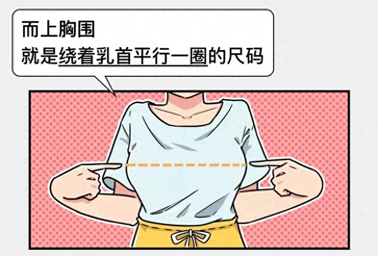 36d胸围是多大（比d还大的胸围）