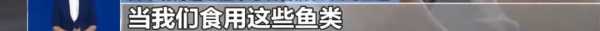 日本核废水是怎么产生的?对中国海危害大吗