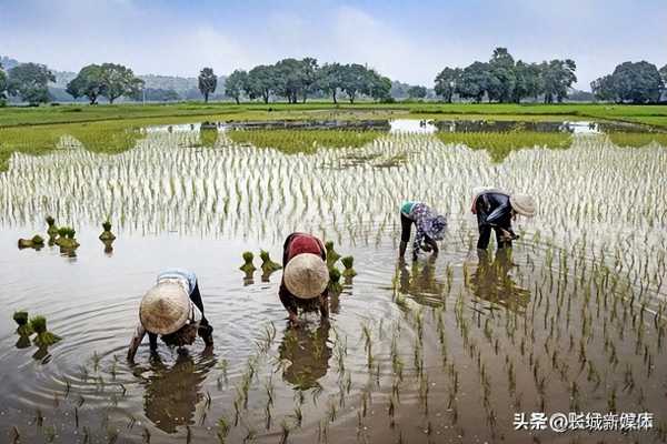 居民医保一年减少2500万人,为什么有人主动退保?