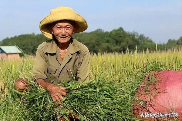 居民医保一年减少2500万人,为什么有人主动退保?