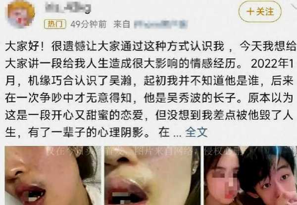 吴秀波的老婆叫什么?吴秀波把女人送牢房几年