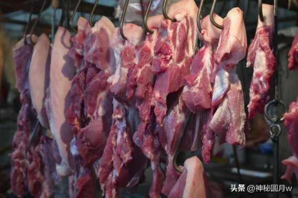 废铁还有上涨的可能吗?2023年废品站生意不好做