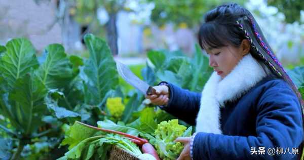 浪味仙是女的还是男?浪胃仙做了变性手术吗