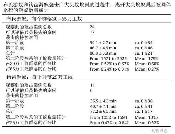 行军蚁的天敌是谁?行军蚁的对手是谁