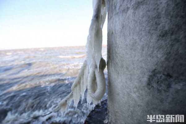 青岛胶州湾出现海冰凌景观！速冻海冰凌