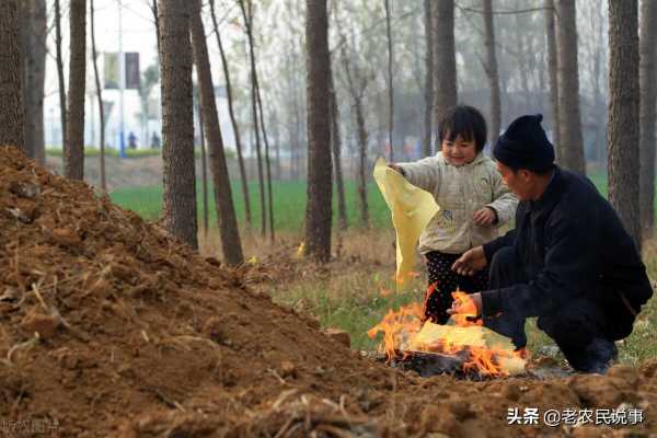 祖坟上放一物后代富贵,坟头上放什么害后人