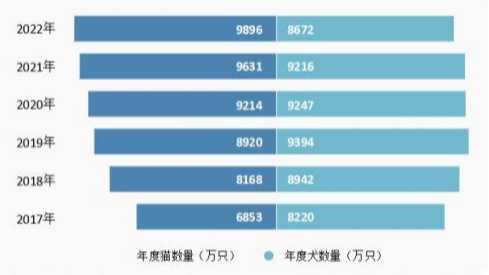 猫是如何取代狗 成为中国人的首宠