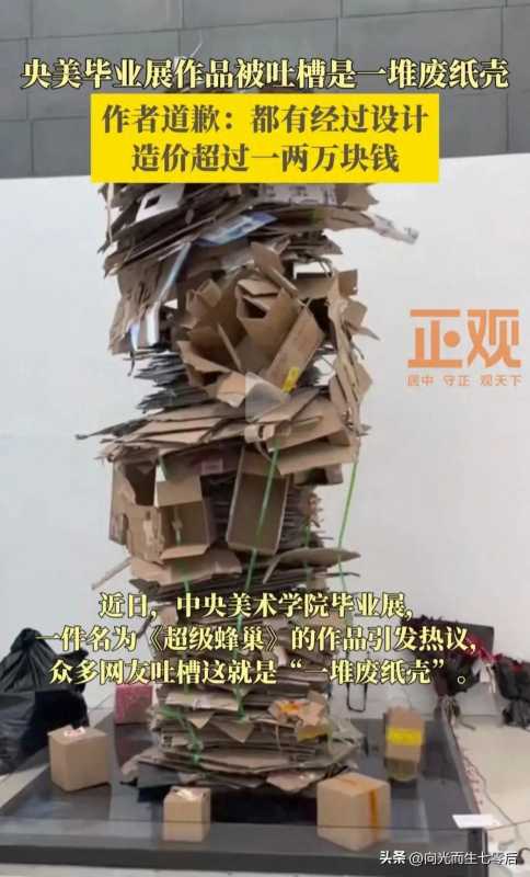 央美毕业展作品被吐槽一堆废纸壳