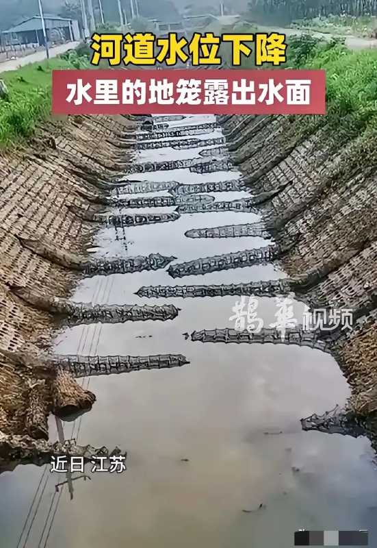 河道水位下降 露出满河底地笼