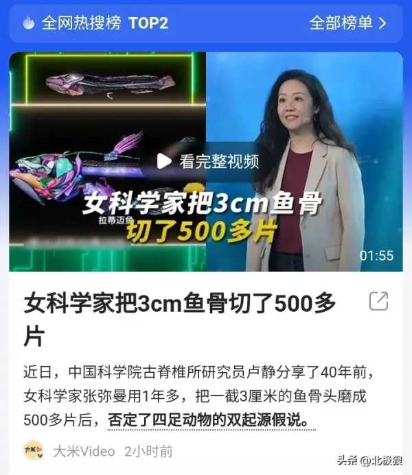 女科学家把3cm鱼骨切了500多片