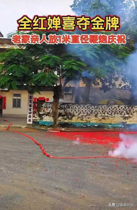 全红婵老家门口的“水花消失树”火了