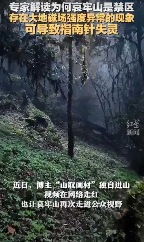 哀牢山晚上会释放大量二氧化碳